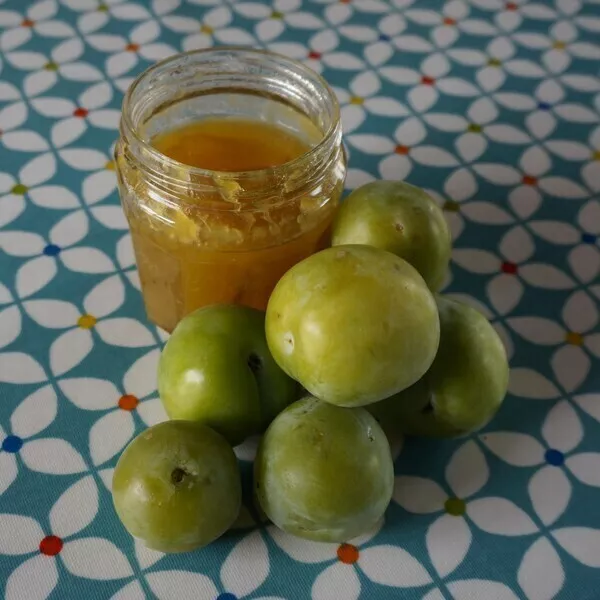 Confiture de prunes Reine Claude (5 pots bien pleins) Recette iCook