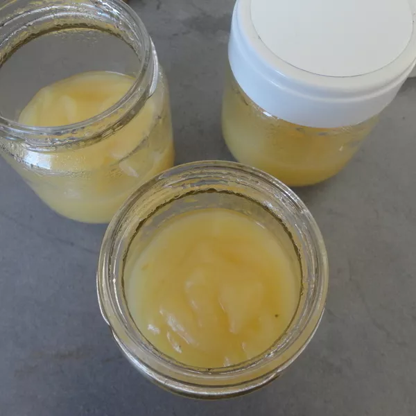 Compote de pomme bien lisse Recette iCook'in Guy Demarle