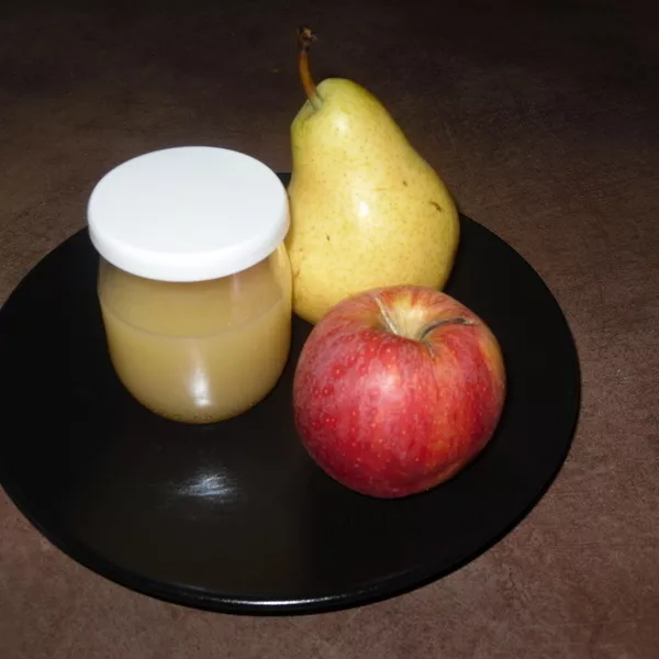 Compote Pommes Poires Recette iCook'in Guy Demarle