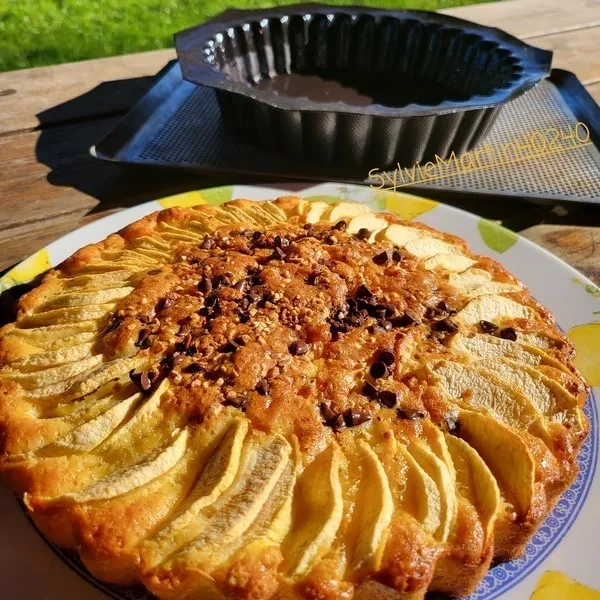 g-teau-aux-pommes-guy-demarle