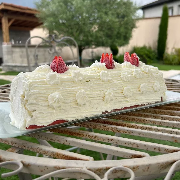 Protège-coude Absurde Crème Glacée Fraise – Taille Standard 12+ Ans – Neuf