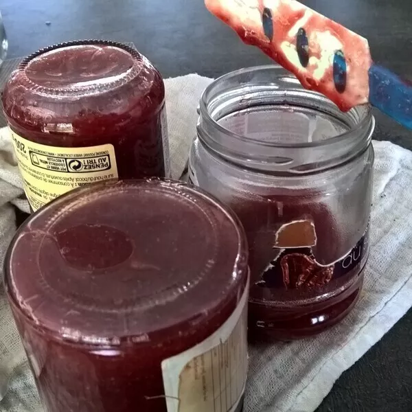 Confiture de fraises IG bas (miel d'acacia) de Didou Recette iCook