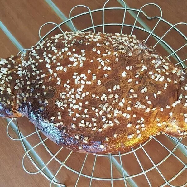 COMMENT EST FABRIQU E LA COQUILLE visual data 7