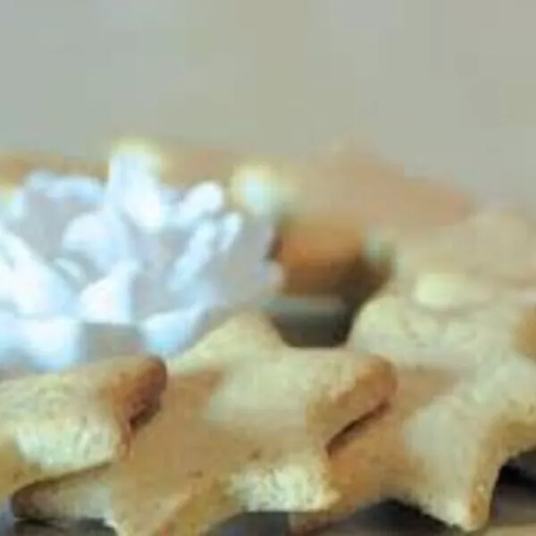 BISCUITS DE NOEL SANS GLUTEN SABLES - Recette i-Cook'in | Guy Demarle