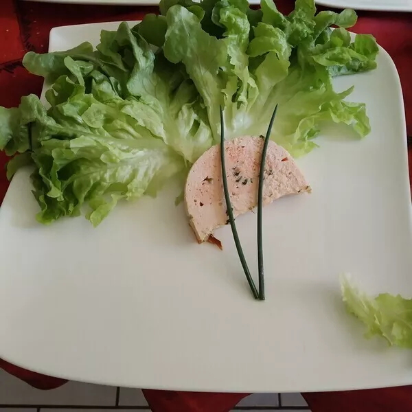 Terrine aux deux saumons Recette iCook'in Guy Demarle