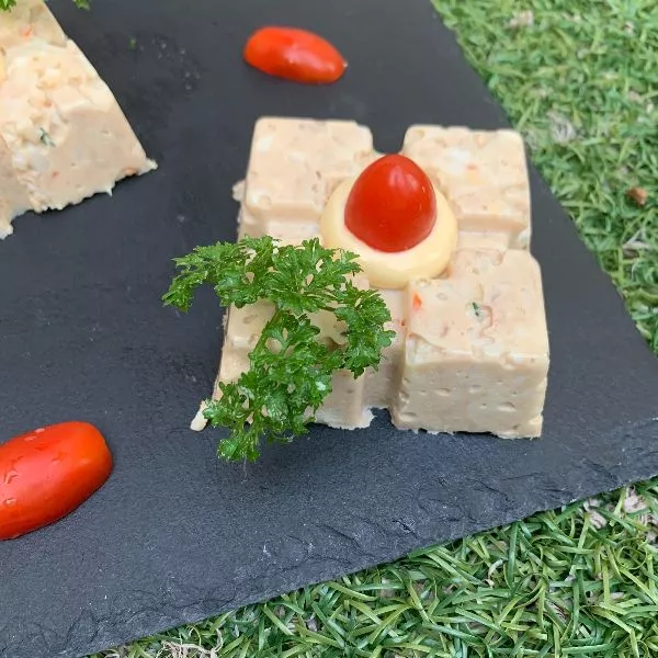 Terrine de thon sans cuisson Guy Demarle