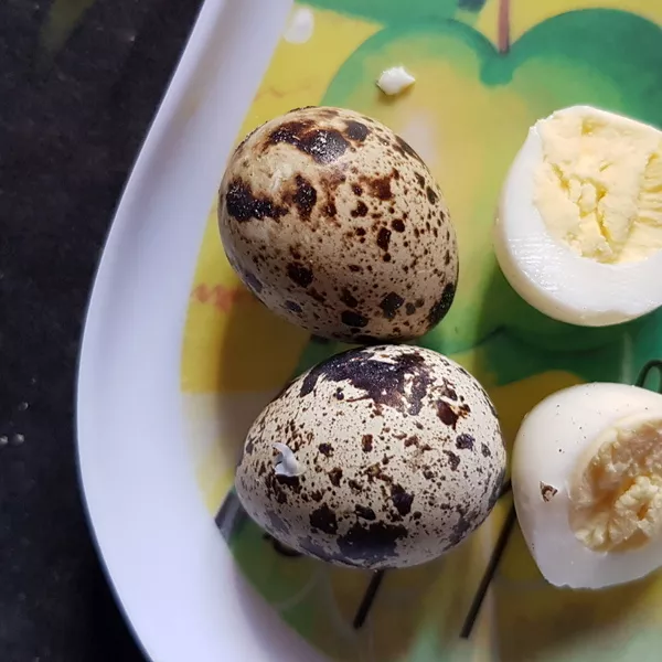 Cuisson oeufs de caille Recette iCook