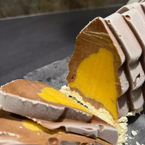 Bûche sorbet chocolat et mangue 