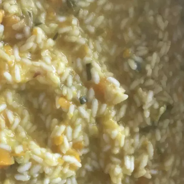Risotto au Potimarron