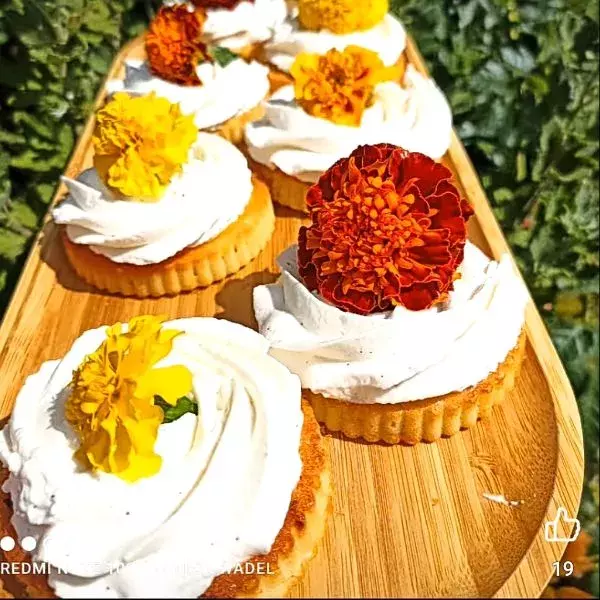 Tartelettes citron/chantilly