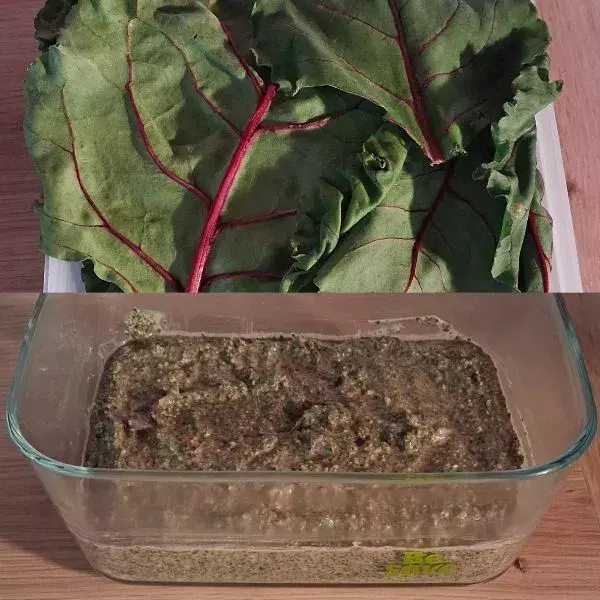 Pesto aux feuilles de betteraves