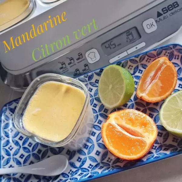 Crèmes vitaminées mandarine pour yaourtière Multi-Délices Express SEB