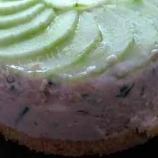 cheesecake sans cuisson mousse de thon et concombre