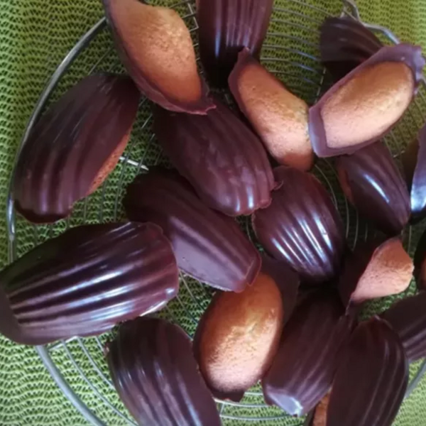 madeleines coque chocolat noir dans le moule madeleine FP 2511