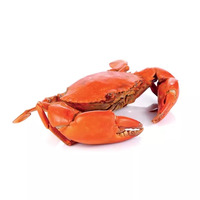 1 boîte(s) de crabe