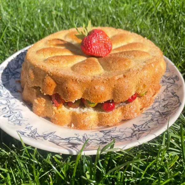 Biscuit de Savoie aux fraises