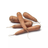 200 gramme(s) de carottes des sables