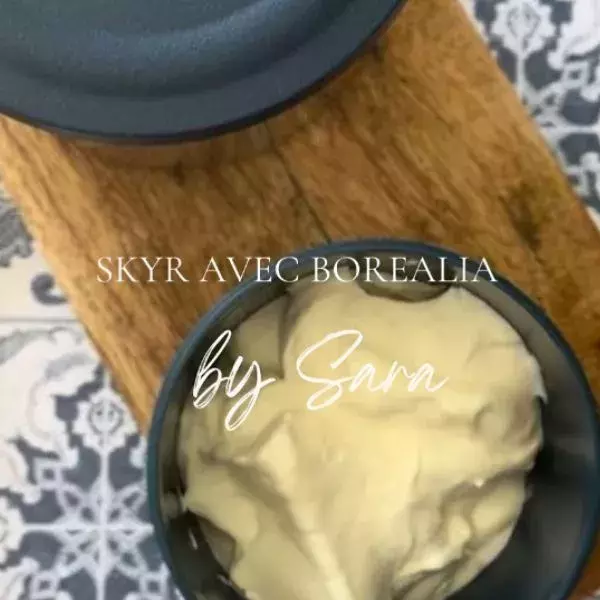 Skyr avec Borealia