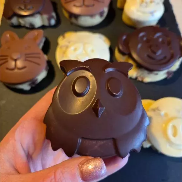 Animaux moelleux coque en chocolat 🍫 
