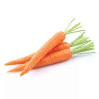 2 carottes en rondelles