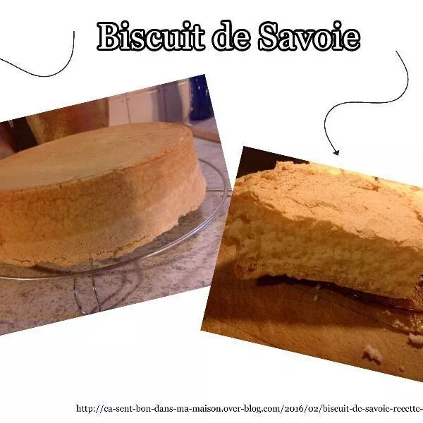 Biscuit de Savoie