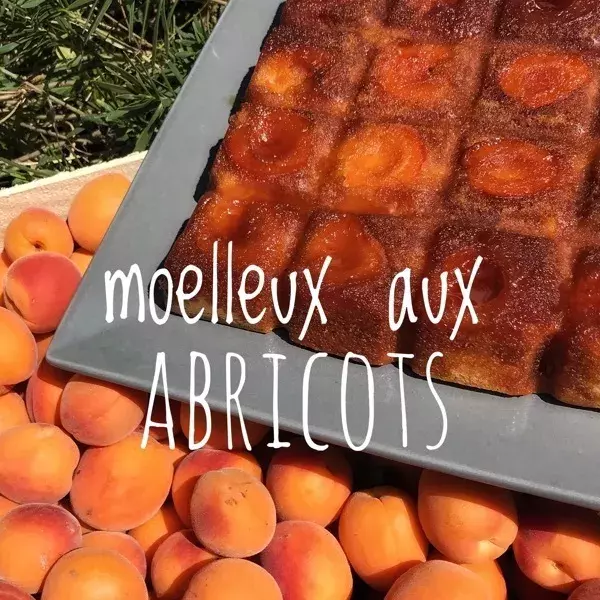 Moelleux aux abricots