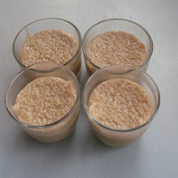 Riz au Lait végétal