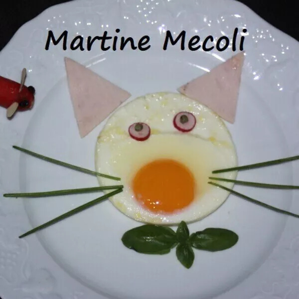 Chats sur le plat
