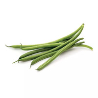  haricots verts entiers