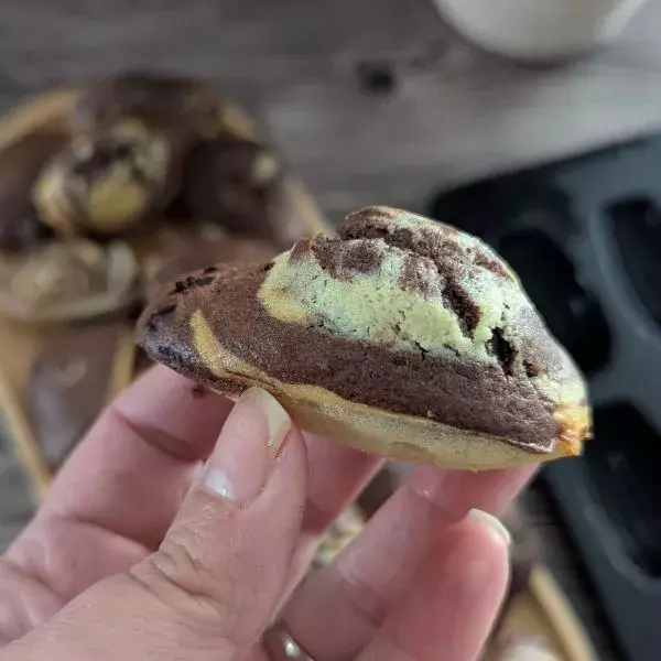 Madeleines Marbrées 