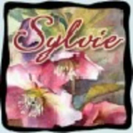 sylvie62690