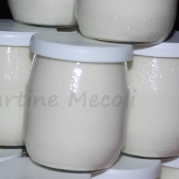 Faux yaourts crémeux sans cook'in