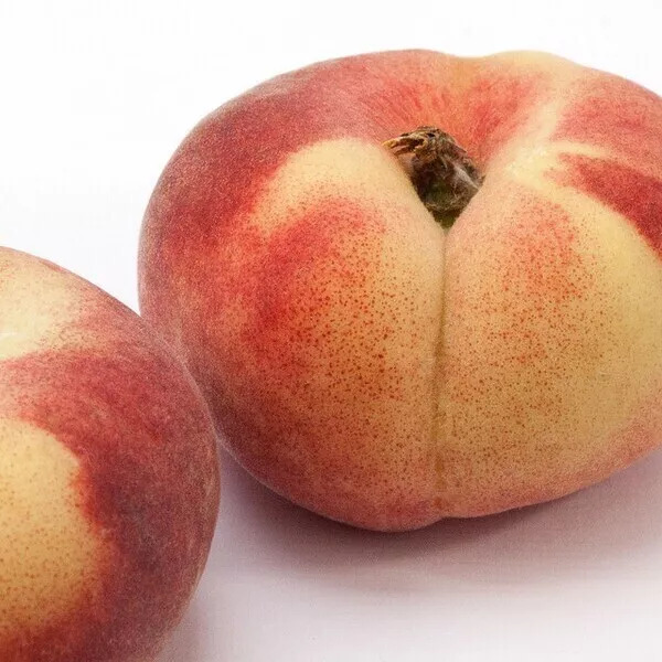 compote de pèches de vignes au cook'in et sirop d'agave Guy Demarle