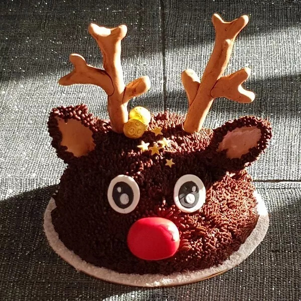 Rudolph Molly Cake