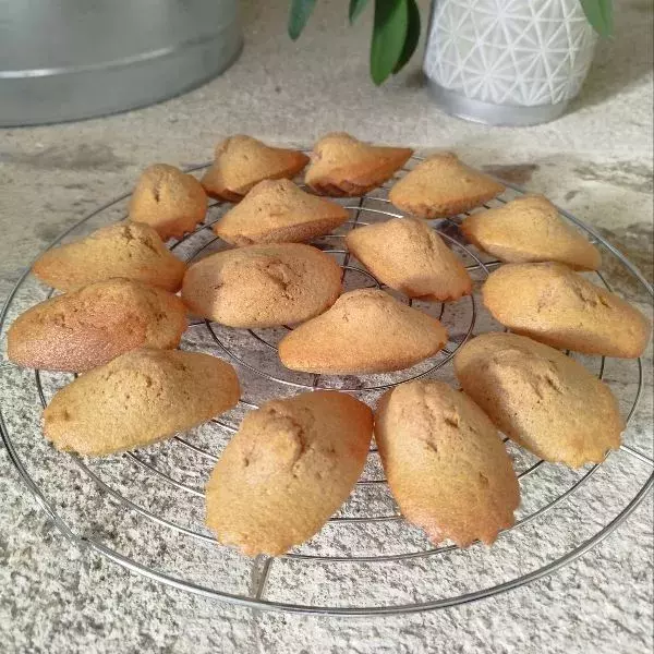 Madeleines ardéchoises