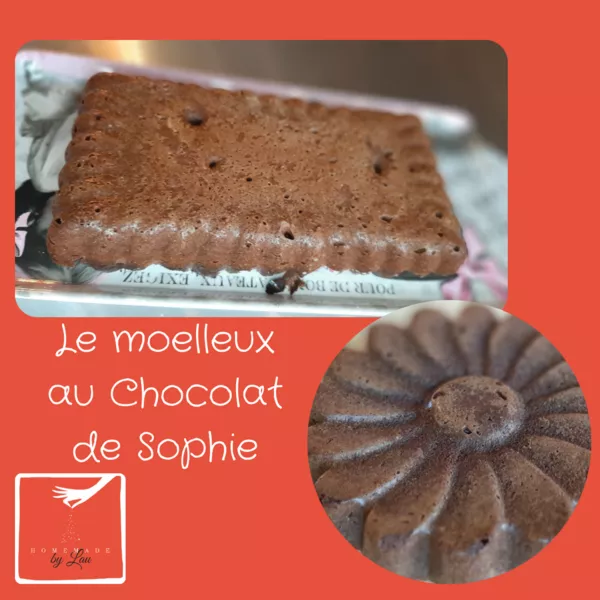 Le moelleux au Chocolat de Sophie