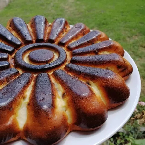 Tournesol au skyr, coco et choco 