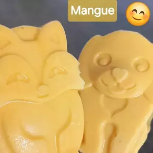 Sorbet mangue mix sorbet au i-Cook'in