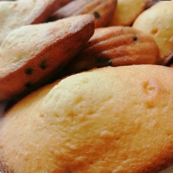 Madeleines aux pépites de chocolat 