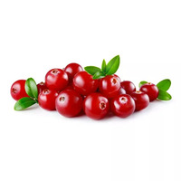 1 c.à.s de cranberries