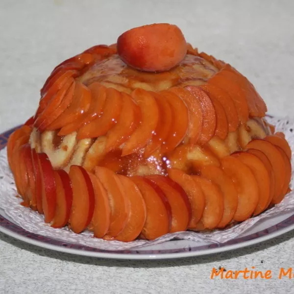 Gâteau glacé aux abricots