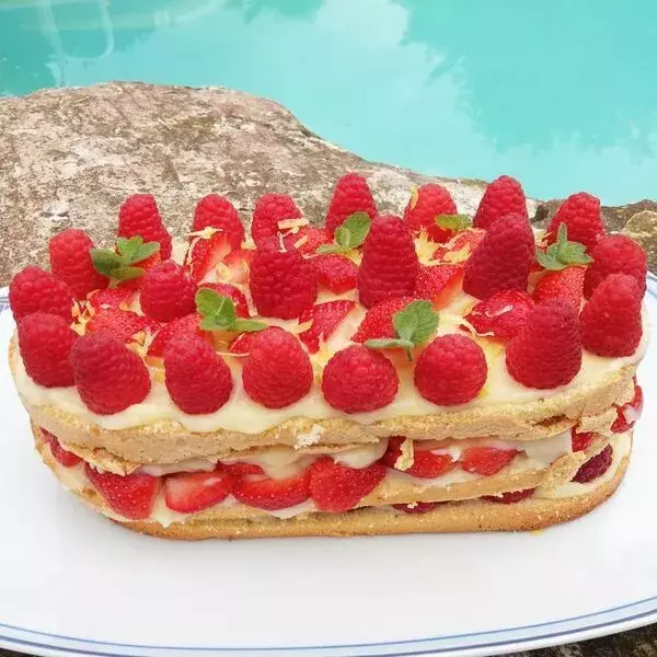 Layer cake fraises et framboises dans le moule Ellipse FM 290