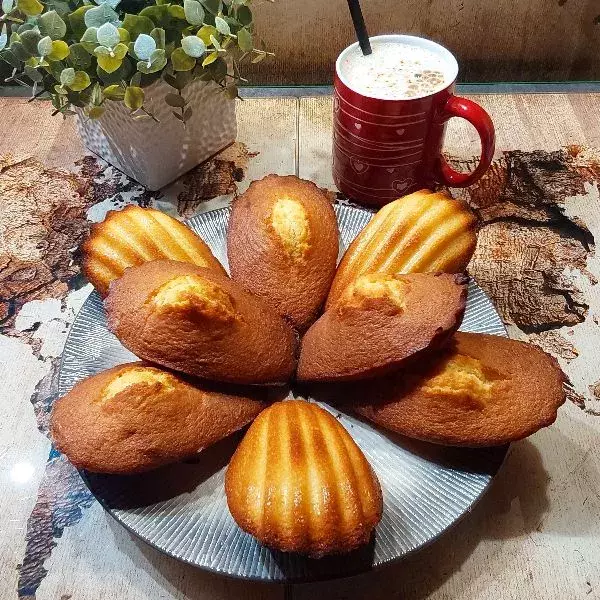 Madeleines XXL