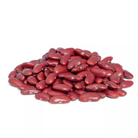 500 gramme(s) de haricots rouges (boite)