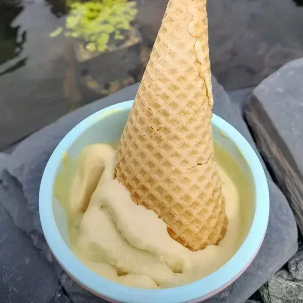 crème glacée au beurre de cacahuètes
