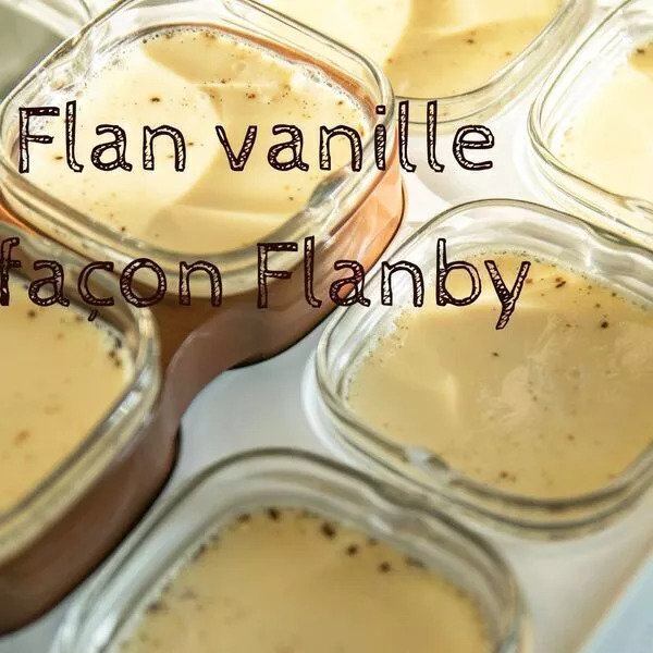 6 Flans vanille façon Flanby pour yaourtière Multi-Délices Express SEB