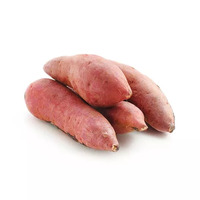 1,7 kilogramme(s) de patate(s) douce(s)