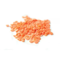 100 gramme(s) de lentilles corail