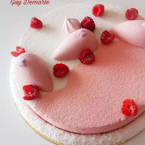 Entremets coco framboise