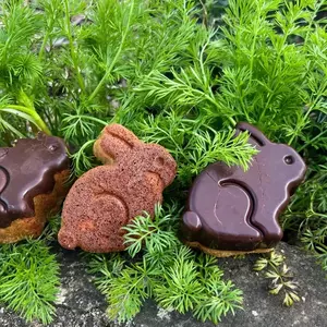 lapins moelleux  au  spéculos